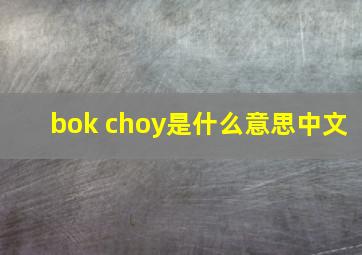 bok choy是什么意思中文